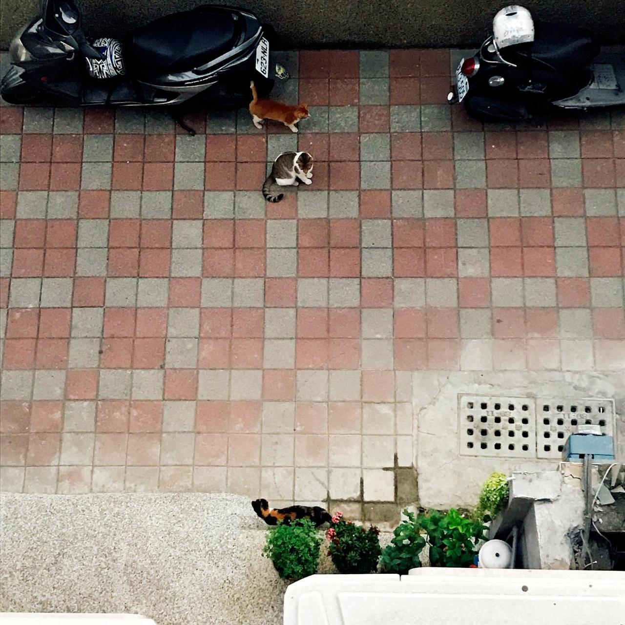 A Fat At Home Tainan Zewnętrze zdjęcie