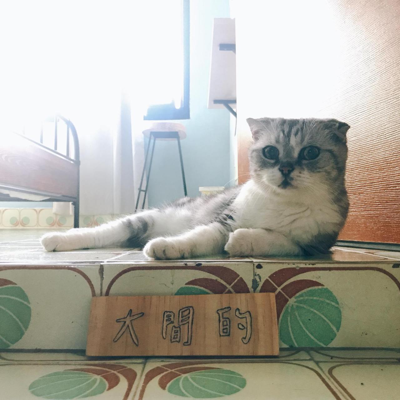 A Fat At Home Tainan Zewnętrze zdjęcie